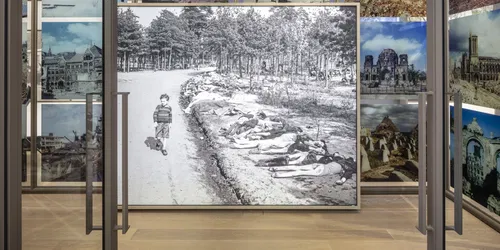 The Netherlands and the Shoah
