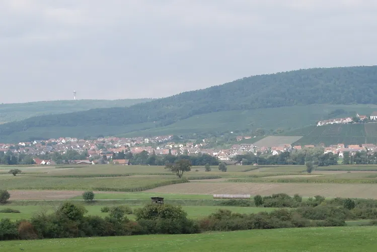 Stromberg-Heuchelberg Nature Park