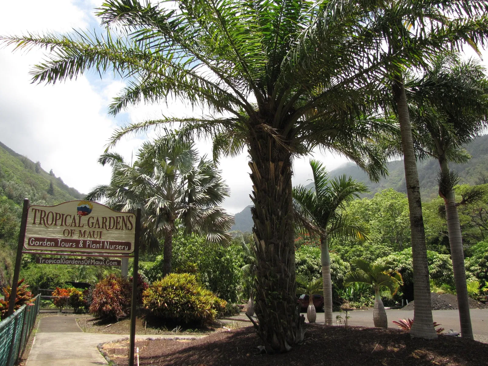 Tropical Gardens of Maui
