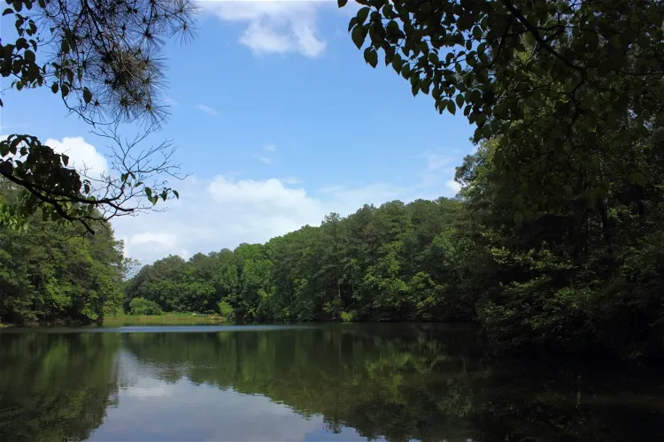 Aldridge Botanical Gardens