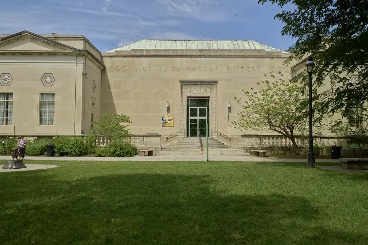 The Amazing World of Dr. Seuss Museum