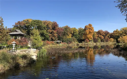 Wellfield Botanic Gardens
