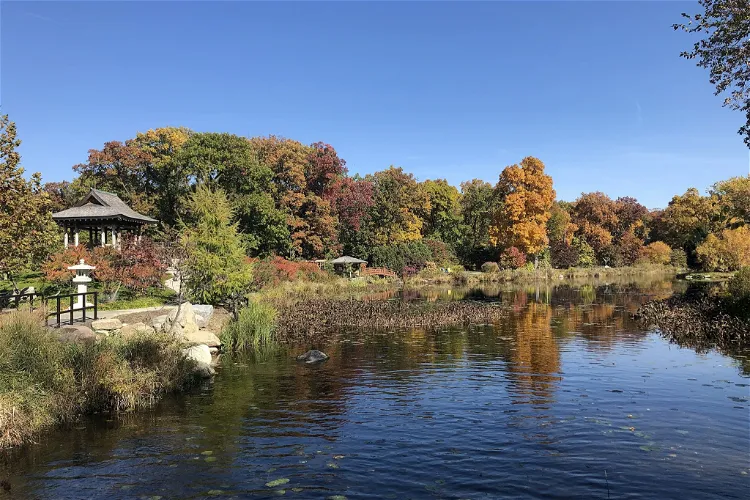 Wellfield Botanic Gardens