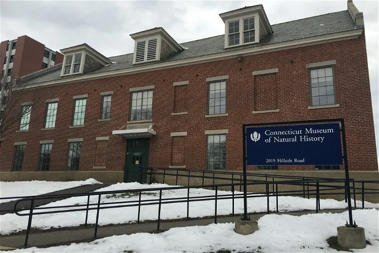 Connecticut State Museum of Natural History