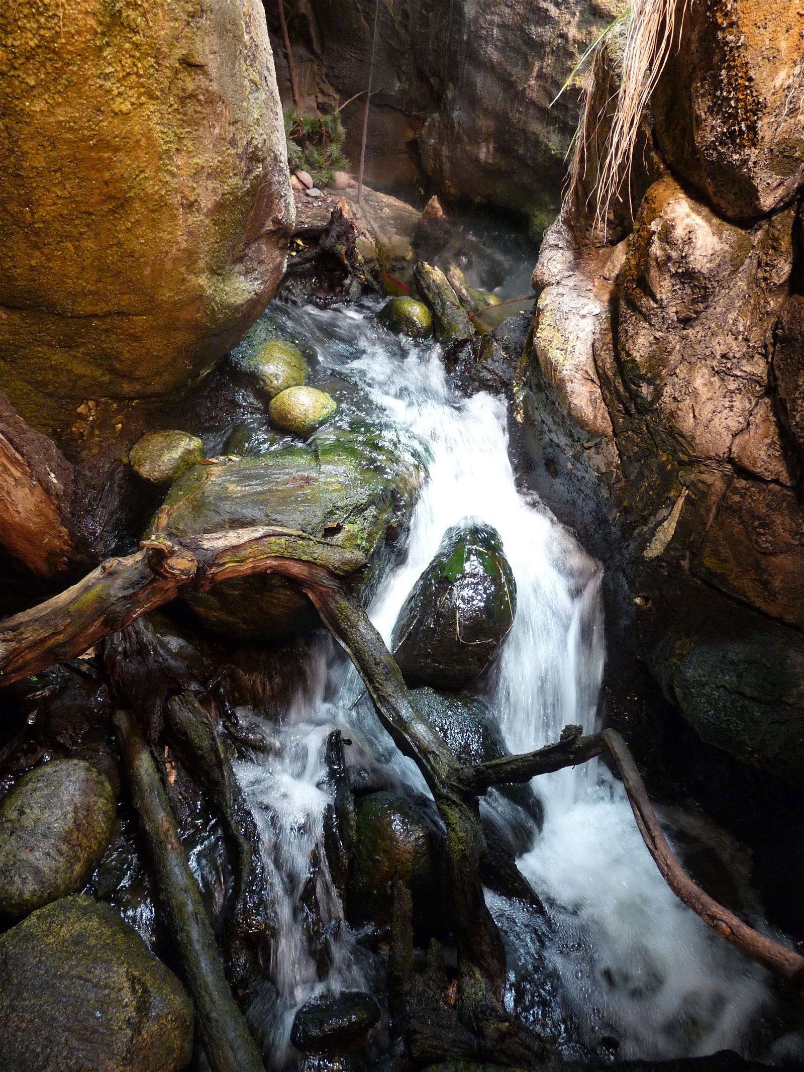 Aquaria Water Museum