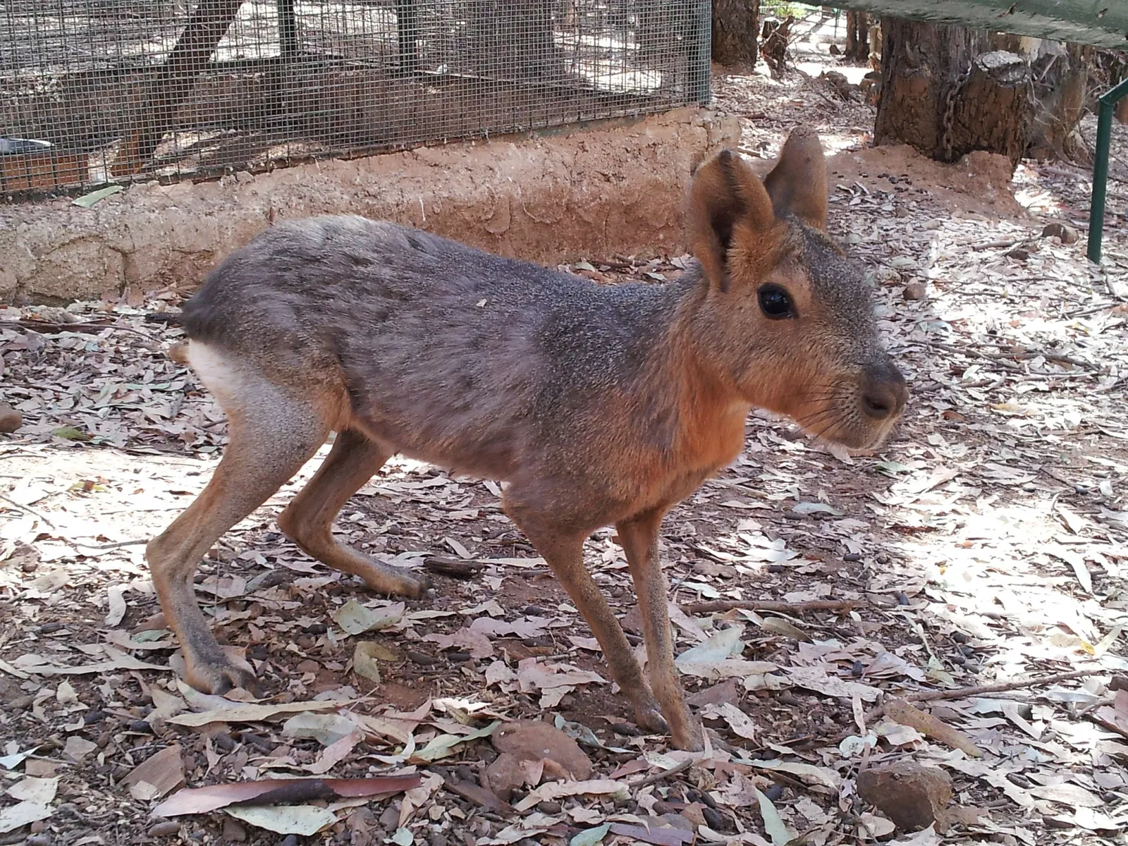 El Castillo de las Guardas