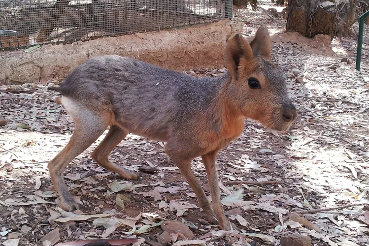 El Castillo de las Guardas
