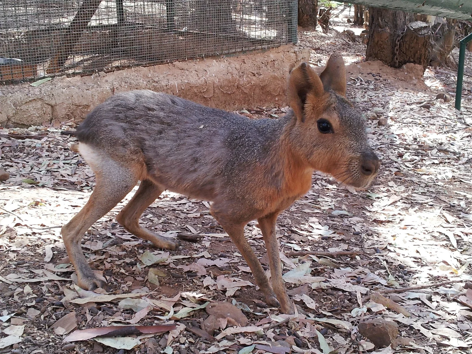 Reserva Natural Castillo de las Guardas