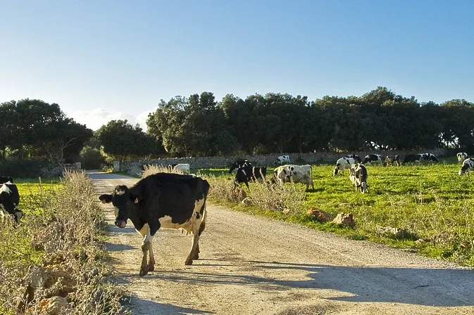 Centre Zoologic Lloc De Menorca