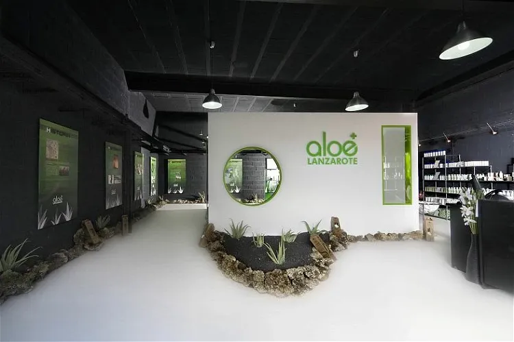 Aloe Lanzarote Museum