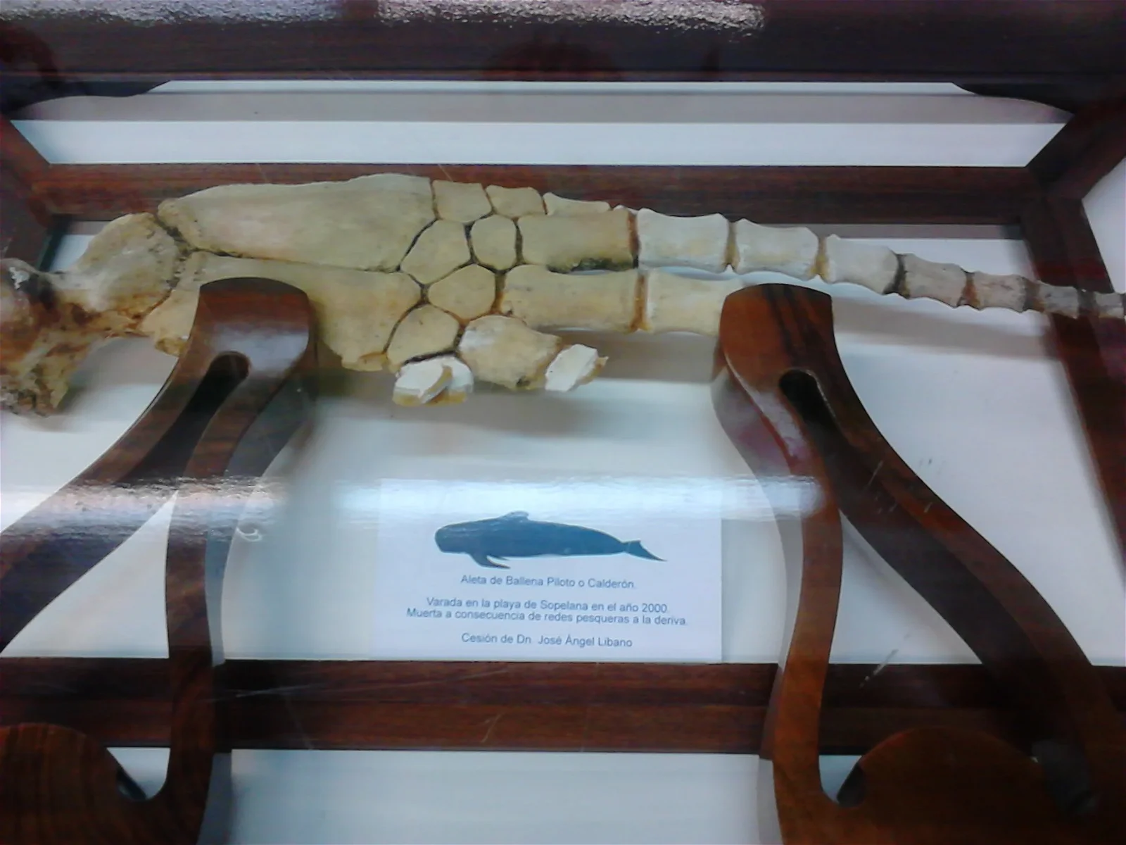 Plasentia Butrón Museum