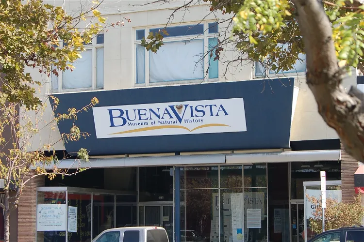 Buena Vista Museum of Natural History & Science