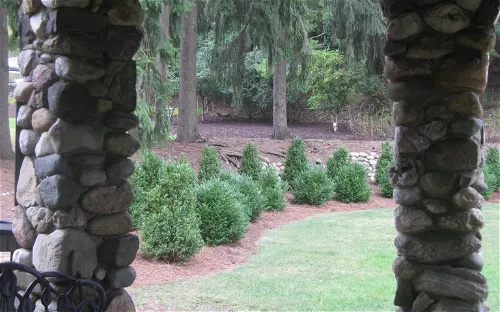 Slayton Arboretum
