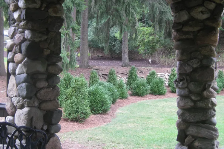 Slayton Arboretum