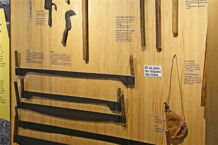 Museum of the Forest and the Payesia