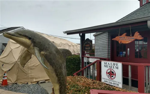 Marine Mammal Stranding Center