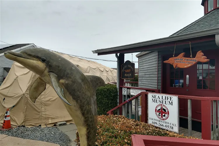 Marine Mammal Stranding Center