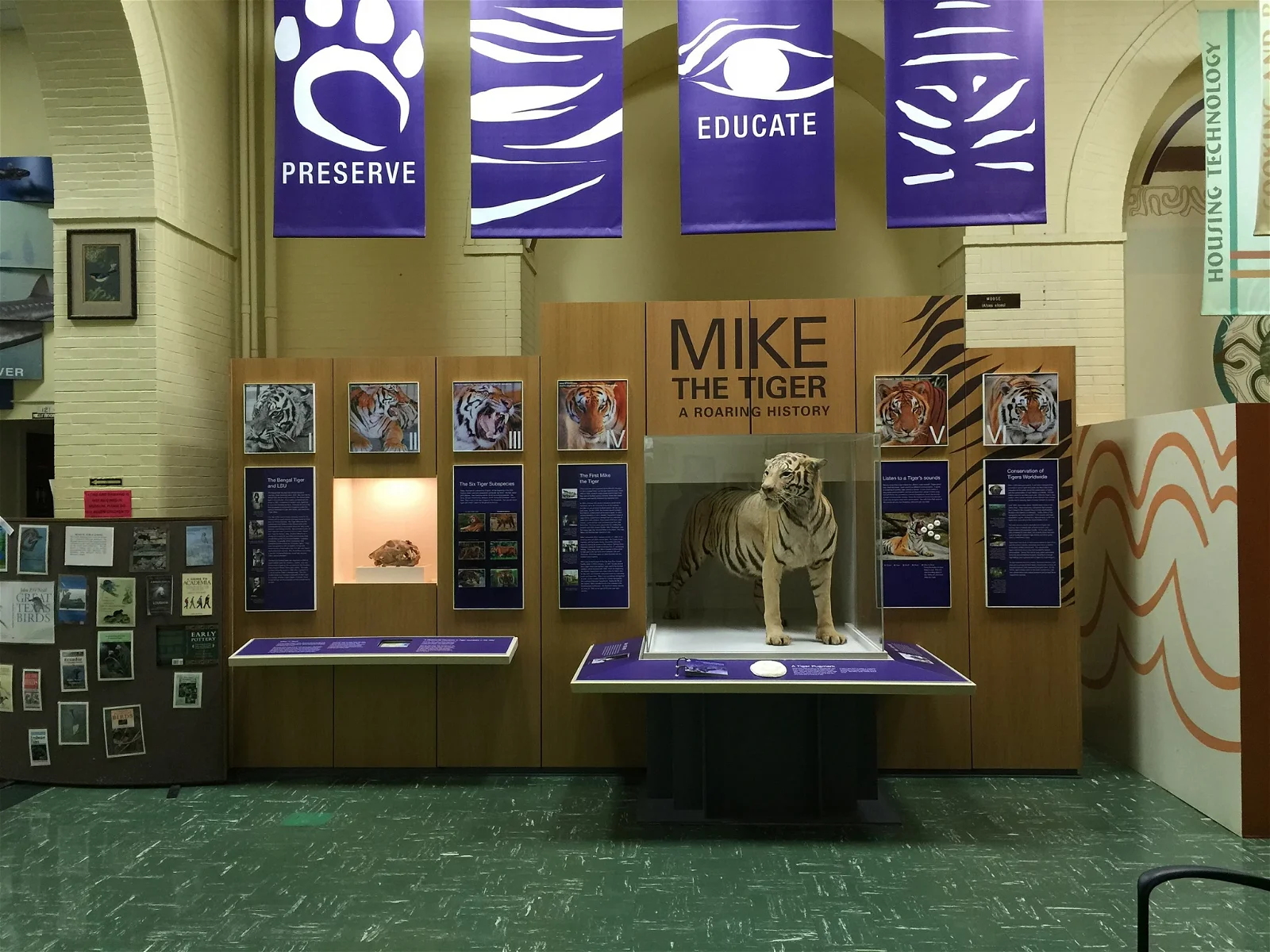 Louisiana Museum of Natural History