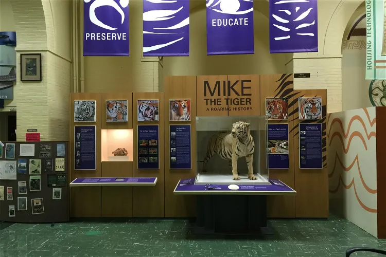 Louisiana Museum of Natural History