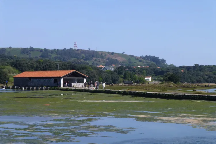 Molino de Santa Olaja