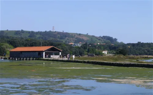 Santa Olaja Mill