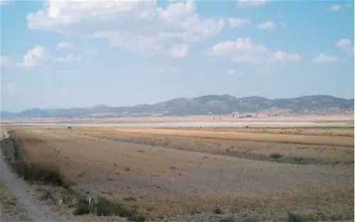 Museo Interpretativo del Ecosistema Aves de Gallocanta