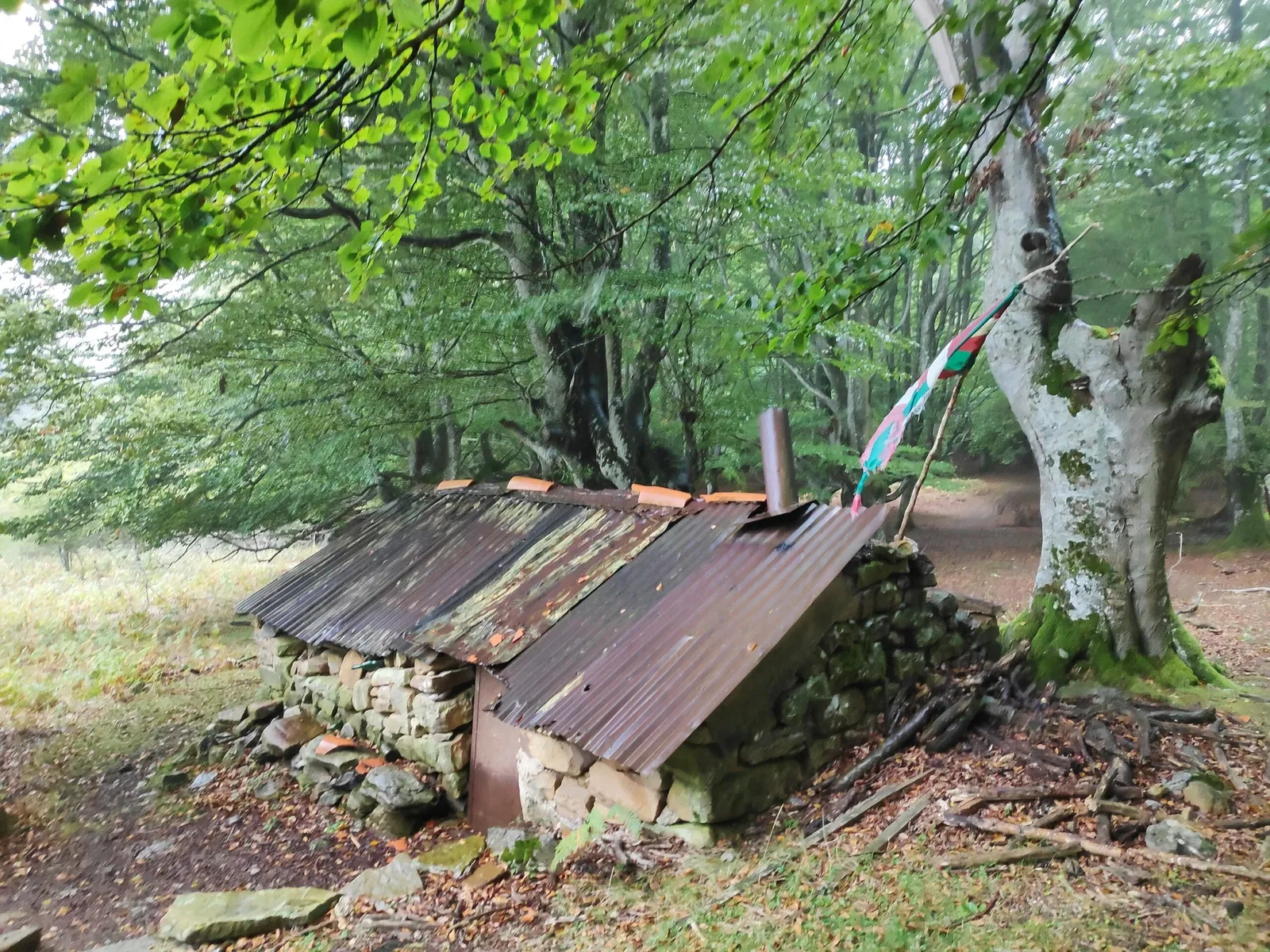 Parque Natural de Gorbeia