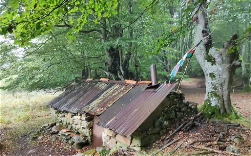 Parque Natural de Gorbeia