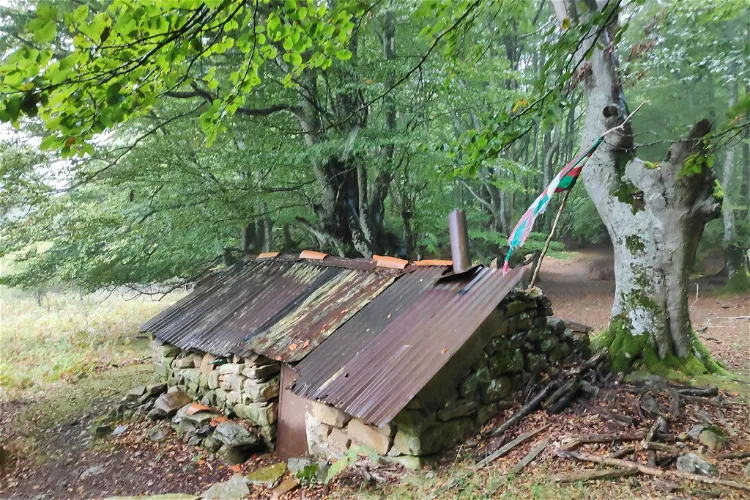 Parque Natural de Gorbeia