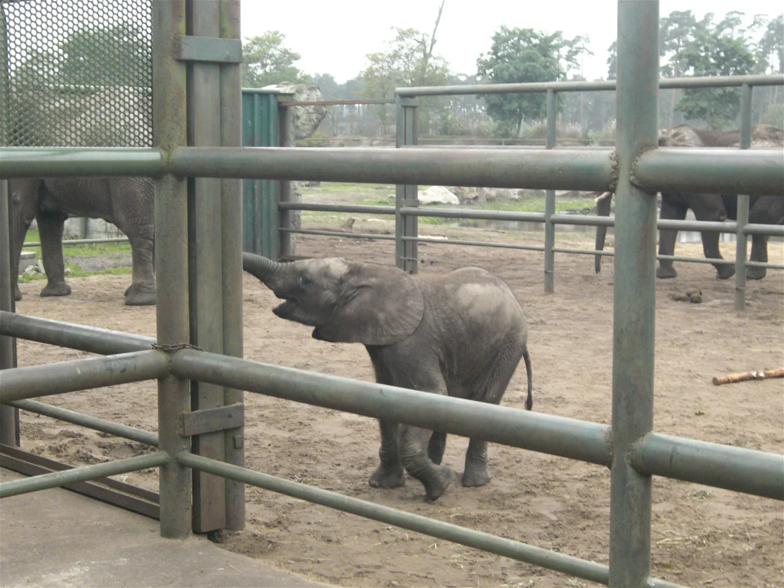 Serengeti Park
