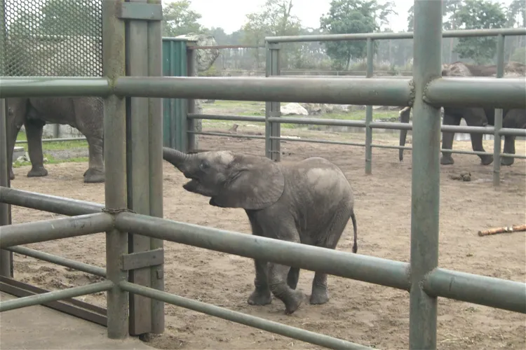 Serengeti Park