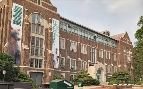 MSU Museum