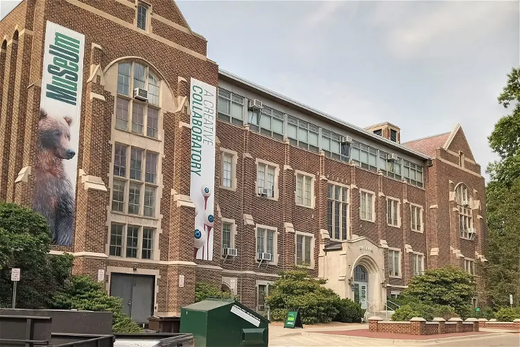 MSU Museum