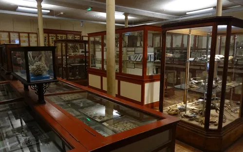 Muséum d'Histoire Naturelle