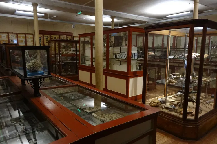 Muséum d'Histoire Naturelle