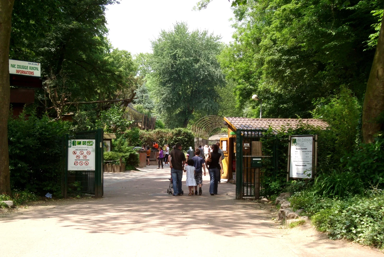 Lille Zoo: From Children's Farm to Conservation Champion