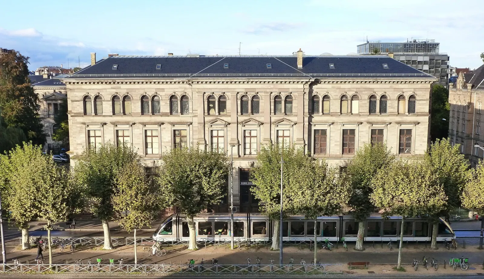 Museo zoológico de Estrasburgo