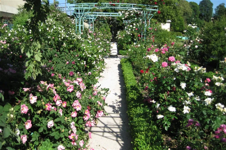 Arquebuse Botanical Garden