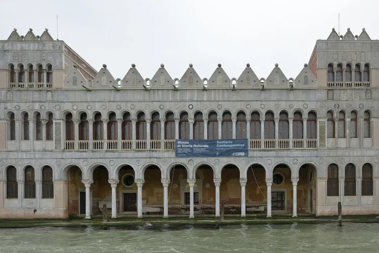 Museo di Storia Naturale di Venezia