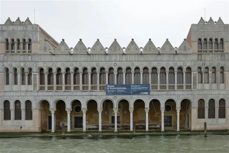 Natural History Museum of Venice