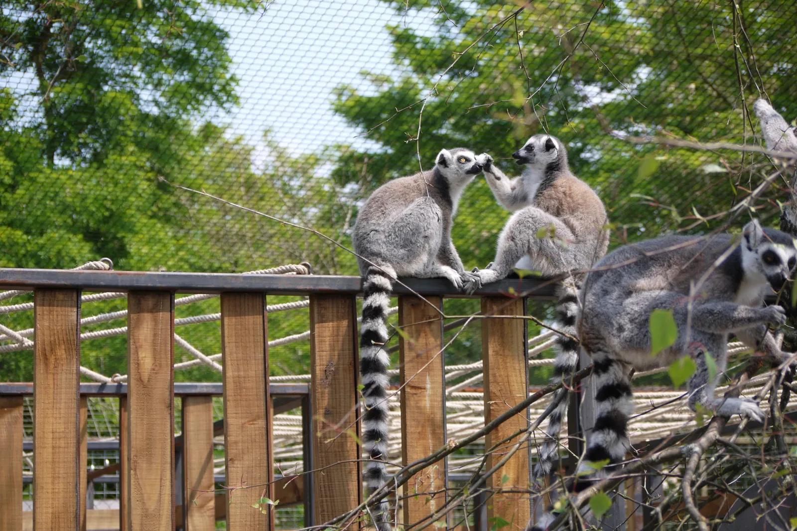 Parc Animalier Bordeaux