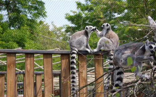 Parc Animalier Bordeaux