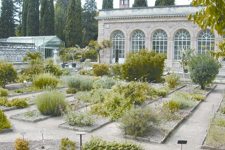 Jardín de plantas de Montpellier