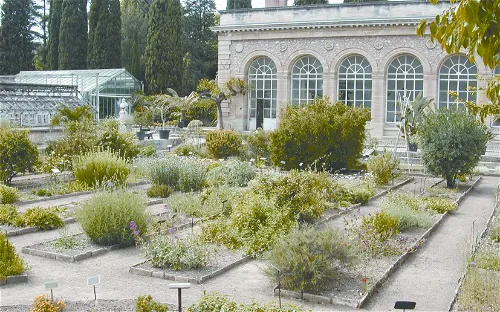 Jardin des plantes de Montpellier