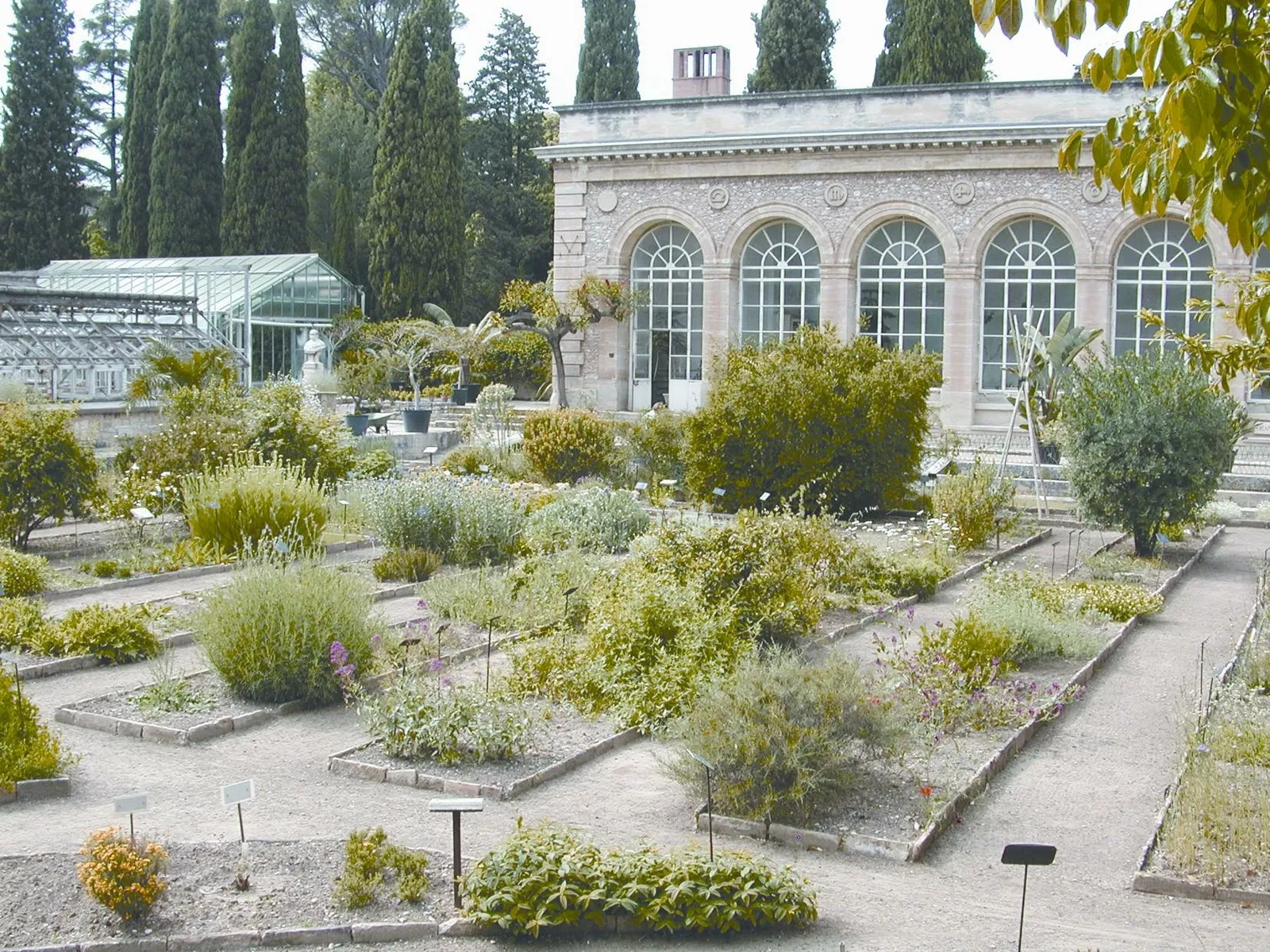 Orto botanico di Montpellier