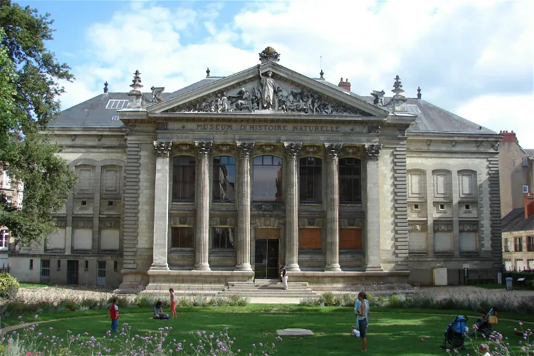 Natural History Museum of Nantes