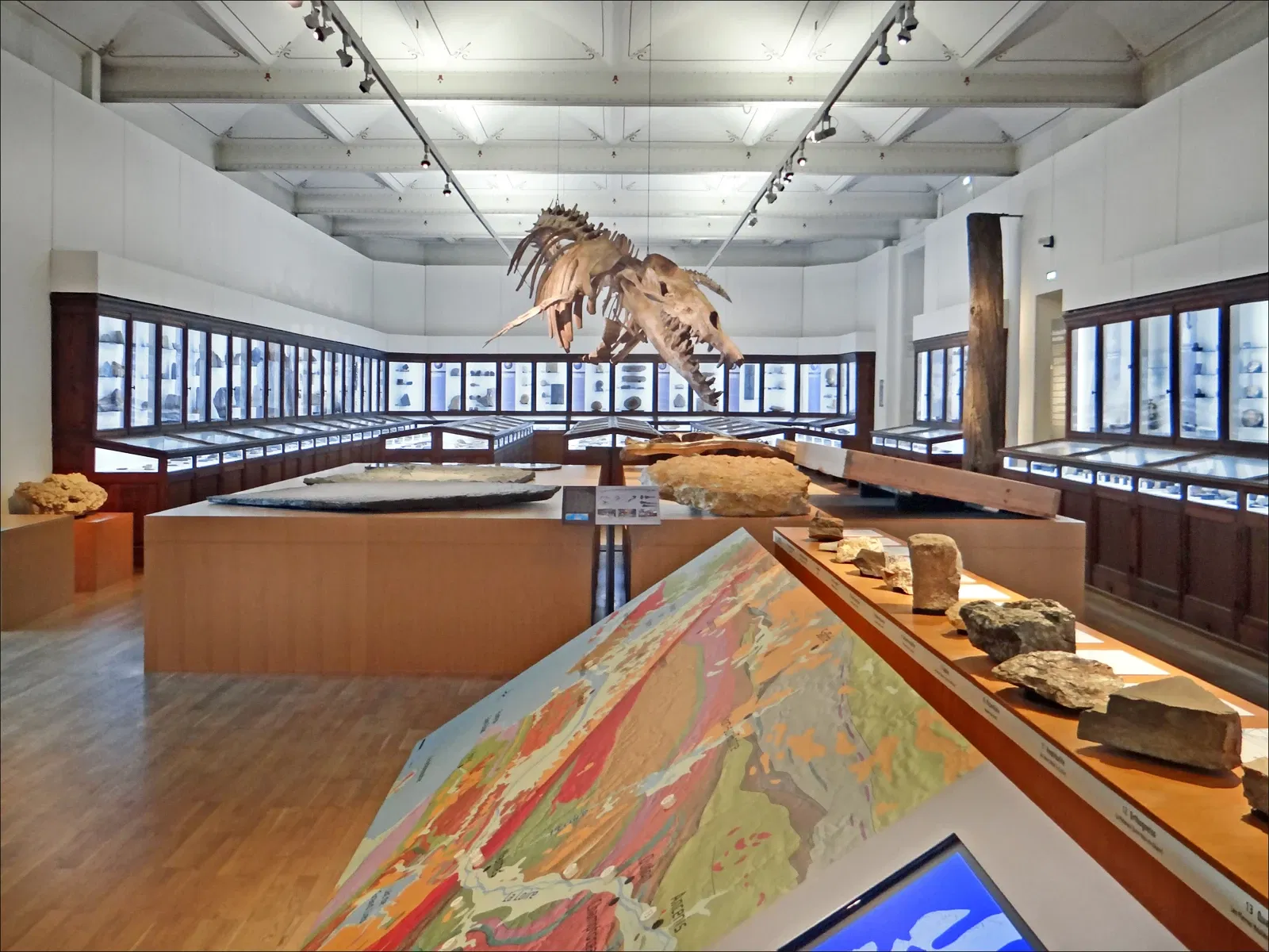 Natural History Museum of Nantes