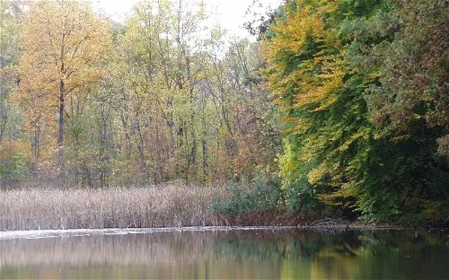 Fernwood Botanical Garden