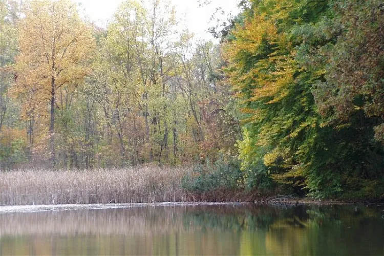 Fernwood Botanical Garden