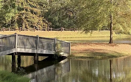 Lockerly Arboretum